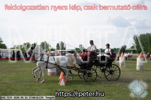 Mintakép 20260531-434
