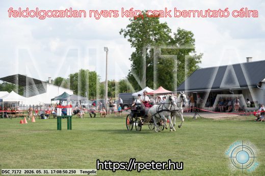 Mintakép 20260531-435