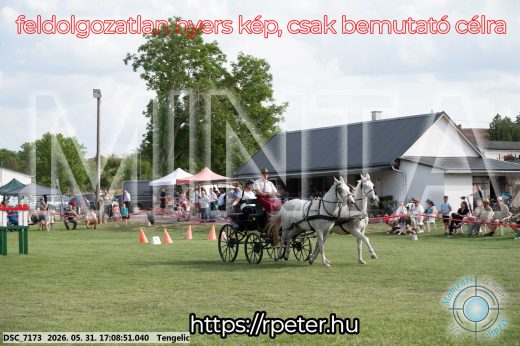 Mintakép 20260531-436
