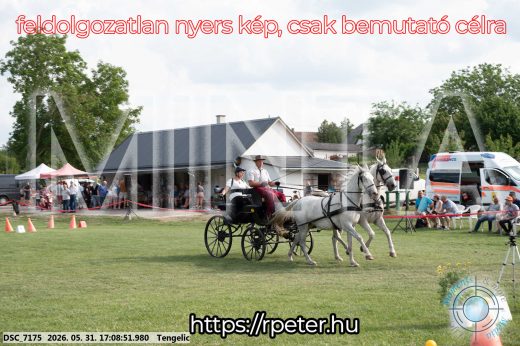 Mintakép 20260531-438