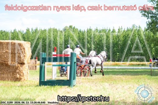 Mintakép 20260613-260