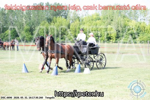 Mintakép 20260531-443