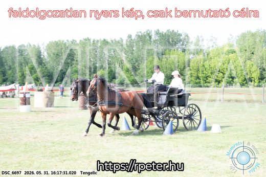 Mintakép 20260531-444