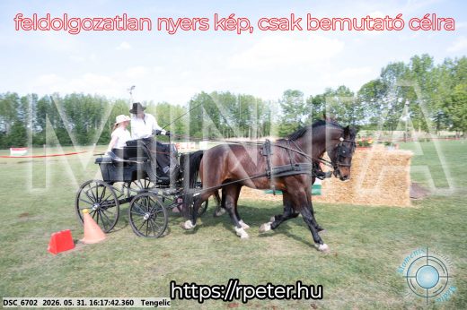 Mintakép 20260531-447