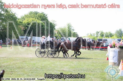 Mintakép 20260531-449