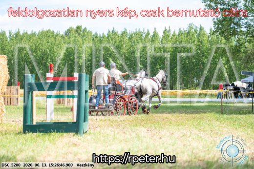 Mintakép 20260613-261