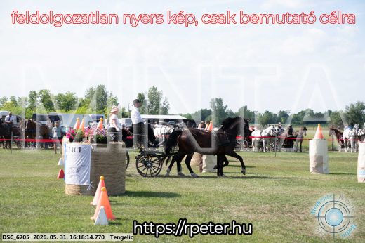Mintakép 20260531-450
