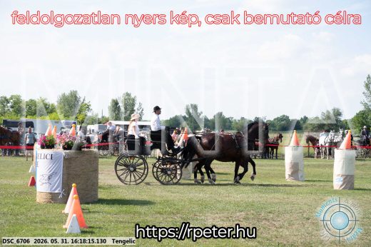 Mintakép 20260531-451