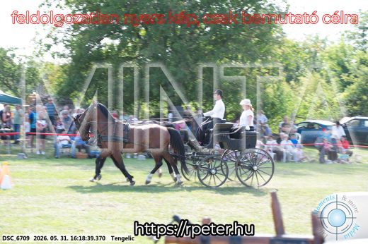Mintakép 20260531-452