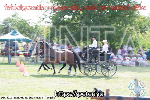 Mintakép 20260531-453