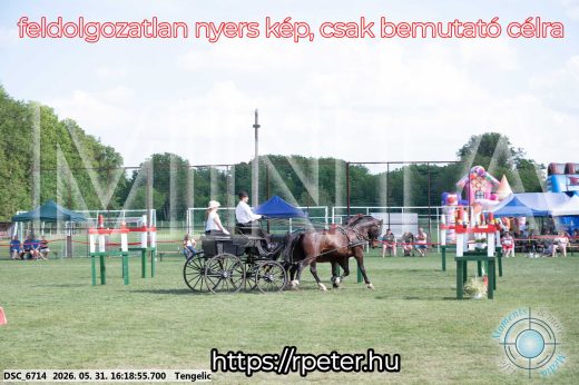 Mintakép 20260531-455