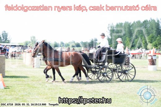 Mintakép 20260531-459