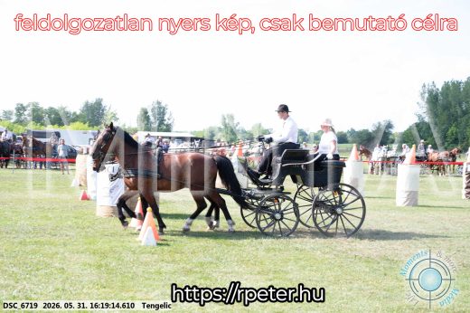 Mintakép 20260531-460