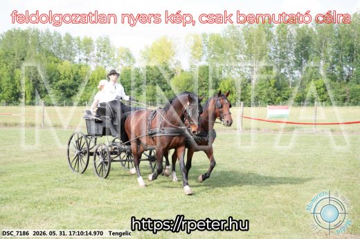 Mintakép 20260531-464