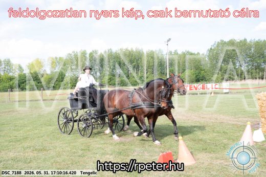 Mintakép 20260531-466
