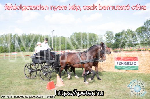 Mintakép 20260531-467