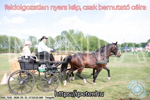 Mintakép 20260531-469