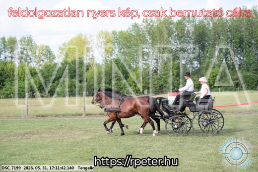 Mintakép 20260531-471
