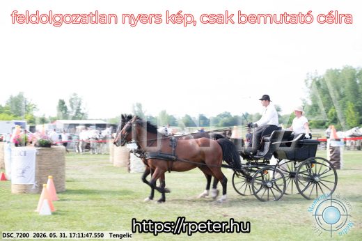 Mintakép 20260531-472