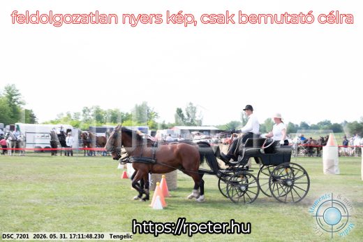 Mintakép 20260531-473