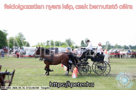 Mintakép 20260531-474