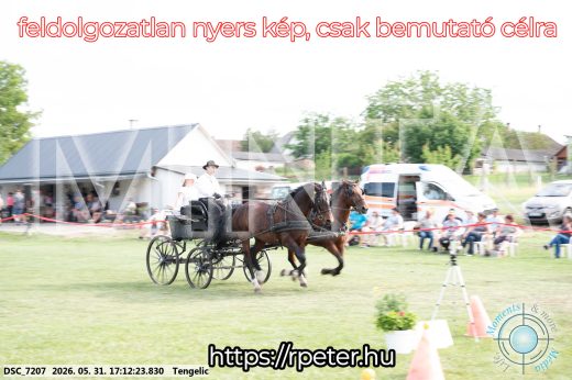 Mintakép 20260531-477