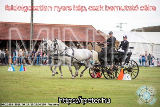 Mintakép 20260614-42