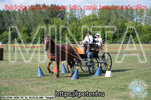 Mintakép 20260531-483