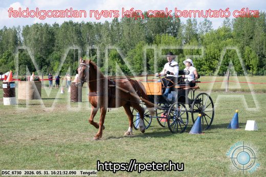 Mintakép 20260531-484