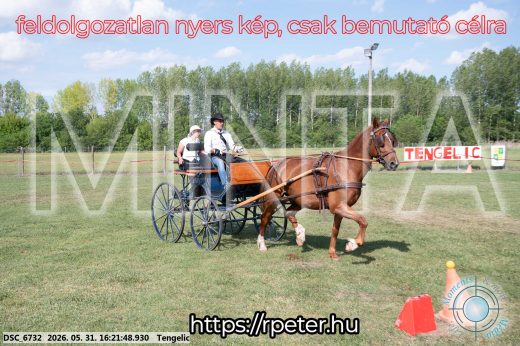 Mintakép 20260531-486