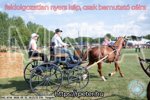 Mintakép 20260531-488
