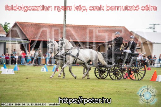 Mintakép 20260614-43