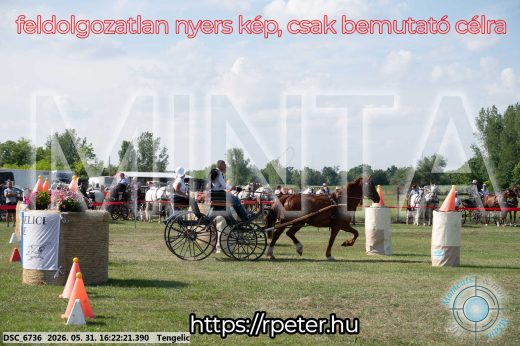 Mintakép 20260531-490
