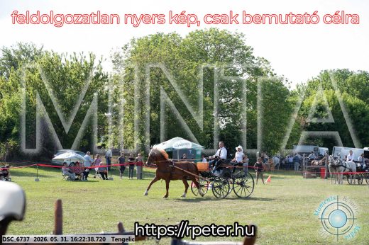 Mintakép 20260531-491