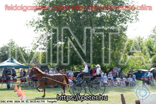 Mintakép 20260531-493
