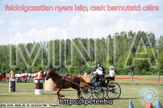 Mintakép 20260531-498