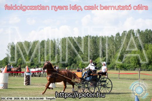 Mintakép 20260531-499