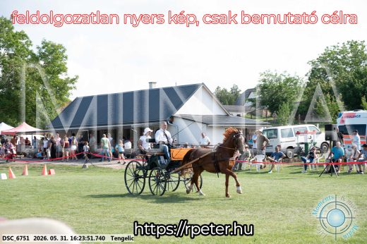 Mintakép 20260531-504