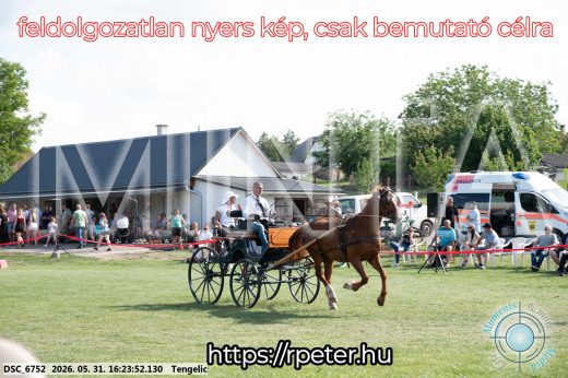 Mintakép 20260531-505