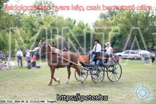 Mintakép 20260531-508