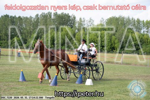 Mintakép 20260531-510