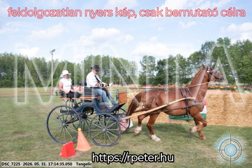 Mintakép 20260531-513