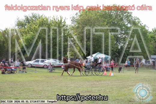 Mintakép 20260531-515