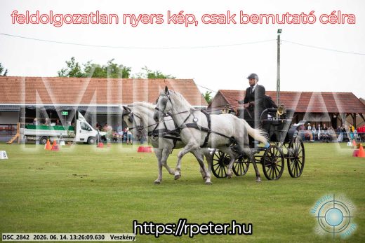Mintakép 20260614-46