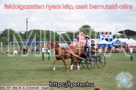Mintakép 20260531-522