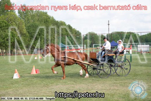 Mintakép 20260531-523