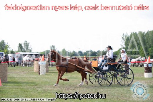 Mintakép 20260531-525