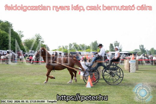 Mintakép 20260531-527