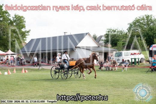 Mintakép 20260531-528
