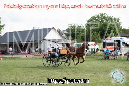 Mintakép 20260531-529